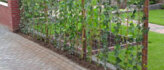 Tuinafscheiding